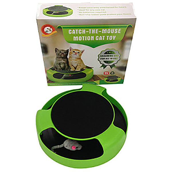 CATCH THE MOUSE GAME (24)