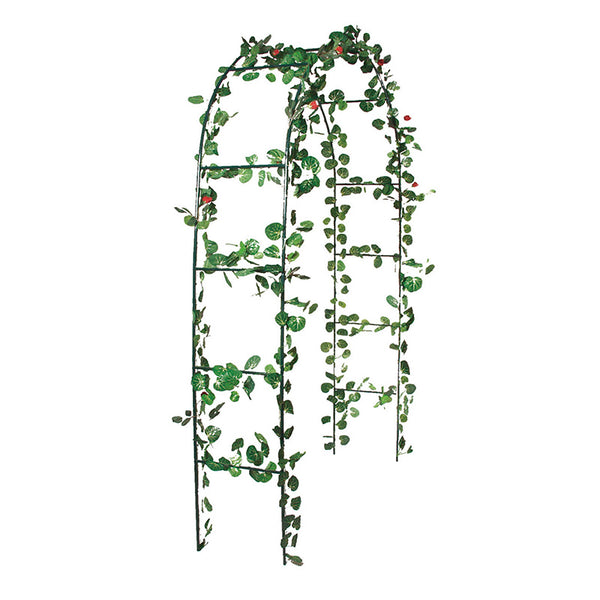 GARDEN ROSE ARCH (10)