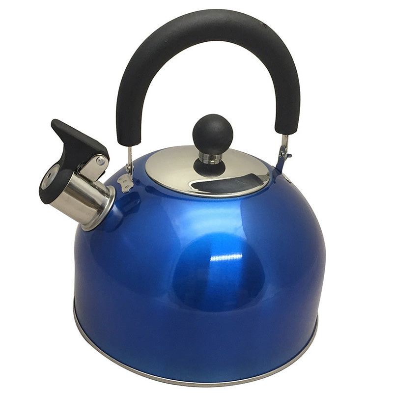 2.5L ST STEEL WHISTLING KETTLE - COLOURED (12)