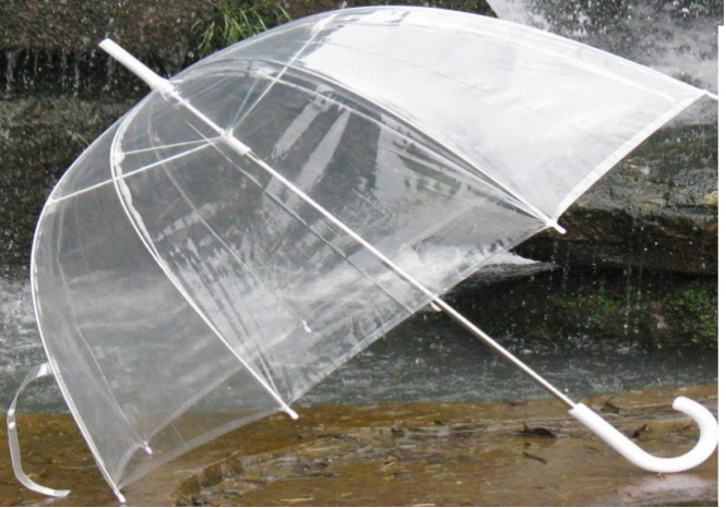 DOME UMBRELLA (48)