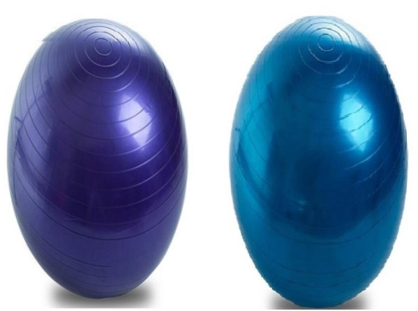 GYM BALL WITH HAND PUMP (12)